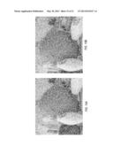 Methods and Apparatus for Coherent Manipulation and Stylization of     Stereoscopic Images diagram and image