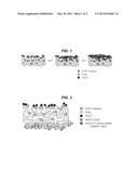 SCR ON DIESEL PARTICULAR FILTER AND METHOD FOR PRODUCING THE SAME diagram and image