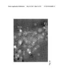 Nanoparticles for Targeted Delivery of Active Agents to the Lung diagram and image