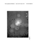 Nanoparticles for Targeted Delivery of Active Agents to the Lung diagram and image