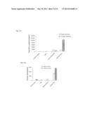 Nanoparticles for Targeted Delivery of Active Agents to the Lung diagram and image