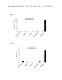 Nanoparticles for Targeted Delivery of Active Agents to the Lung diagram and image