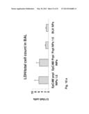 Nanoparticles for Targeted Delivery of Active Agents to the Lung diagram and image