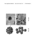 METALLIC NANOPARTICLES WITH COATED SHELLS AND APPLICATIONS OF SAME diagram and image