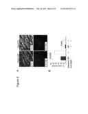 ADAMTS13-CONTAINING COMPOSITIONS HAVING THROMBOLYTIC ACTIVITY diagram and image