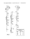 Human CTLA-4 Antibodies And Their Uses diagram and image