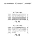 Human CTLA-4 Antibodies And Their Uses diagram and image