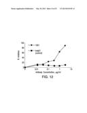 Human CTLA-4 Antibodies And Their Uses diagram and image