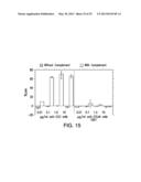 Human CTLA-4 Antibodies And Their Uses diagram and image