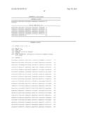 Human CTLA-4 Antibodies And Their Uses diagram and image