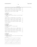 Human CTLA-4 Antibodies And Their Uses diagram and image