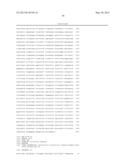 Human CTLA-4 Antibodies And Their Uses diagram and image