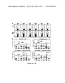 REGULATORY B CELLS AND THEIR USES diagram and image