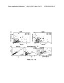 REGULATORY B CELLS AND THEIR USES diagram and image