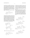 METHODS OF TREATING CANCER USING A COMBINATION OF AN IMMUNOMODULATORY     COMPOUND AND AN ARTEMISININ OR A DERIVATIVE THEREOF diagram and image