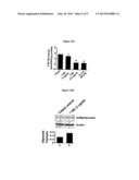 7-HYRDROXYFRULLANOLIDE ITS ANALOGS FOR PREVENTION CONTROL AND TREATMENT OF     METABOLIC DISORDERS diagram and image