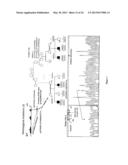 Diagnosis of Hereditary Spastic Paraplegias (HSP) by Identification of a     Mutation in the ZFVYE26 Gene or Protein diagram and image