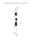 Diagnosis of Hereditary Spastic Paraplegias (HSP) by Identification of a     Mutation in the ZFVYE26 Gene or Protein diagram and image