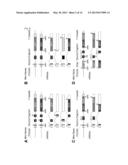 TRANSGENIC REPORTER SYSTEM THAT REVEALS EXPRESSION PROFILES AND REGULATION     MECHANISMS OF ALTERNATIVE SPLICING IN MAMMALIAN ORGANISMS diagram and image