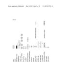 TRANSGENIC REPORTER SYSTEM THAT REVEALS EXPRESSION PROFILES AND REGULATION     MECHANISMS OF ALTERNATIVE SPLICING IN MAMMALIAN ORGANISMS diagram and image