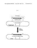 Methods of Modifying Eukaryotic Cells diagram and image