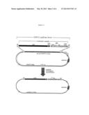 Methods of Modifying Eukaryotic Cells diagram and image