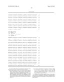 Tumor Marker and Methods of Use Thereof diagram and image