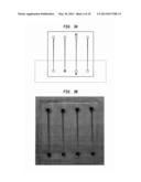 MAGNETIC BEAD SEPARATION APPARATUS AND METHOD diagram and image