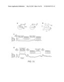 Photoreactive Regulator of Protein Function and Methods of Use Thereof diagram and image