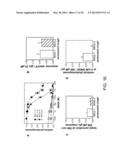 Photoreactive Regulator of Protein Function and Methods of Use Thereof diagram and image