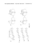 Photoreactive Regulator of Protein Function and Methods of Use Thereof diagram and image