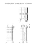 Photoreactive Regulator of Protein Function and Methods of Use Thereof diagram and image