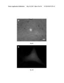 METHODS FOR NANO-MECHANOPORATION diagram and image