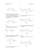 PROCESSES FOR PREPARING TUBULYSINS diagram and image