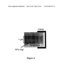 MICROWAVE TRIGGER METAL-ENHANCED CHEMILUMINESCENCE (MT MEC) AND SPATIAL     AND TEMPORAL CONTROL OF SAME diagram and image