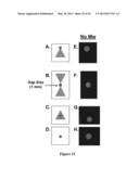 MICROWAVE TRIGGER METAL-ENHANCED CHEMILUMINESCENCE (MT MEC) AND SPATIAL     AND TEMPORAL CONTROL OF SAME diagram and image