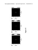 MICROWAVE TRIGGER METAL-ENHANCED CHEMILUMINESCENCE (MT MEC) AND SPATIAL     AND TEMPORAL CONTROL OF SAME diagram and image