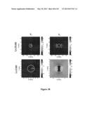 MICROWAVE TRIGGER METAL-ENHANCED CHEMILUMINESCENCE (MT MEC) AND SPATIAL     AND TEMPORAL CONTROL OF SAME diagram and image