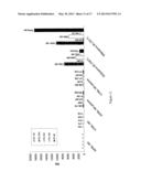 EARLY DETECTION AND STAGING OF COLORECTAL CANCER USING A PANEL OF MICRO     RNAS diagram and image