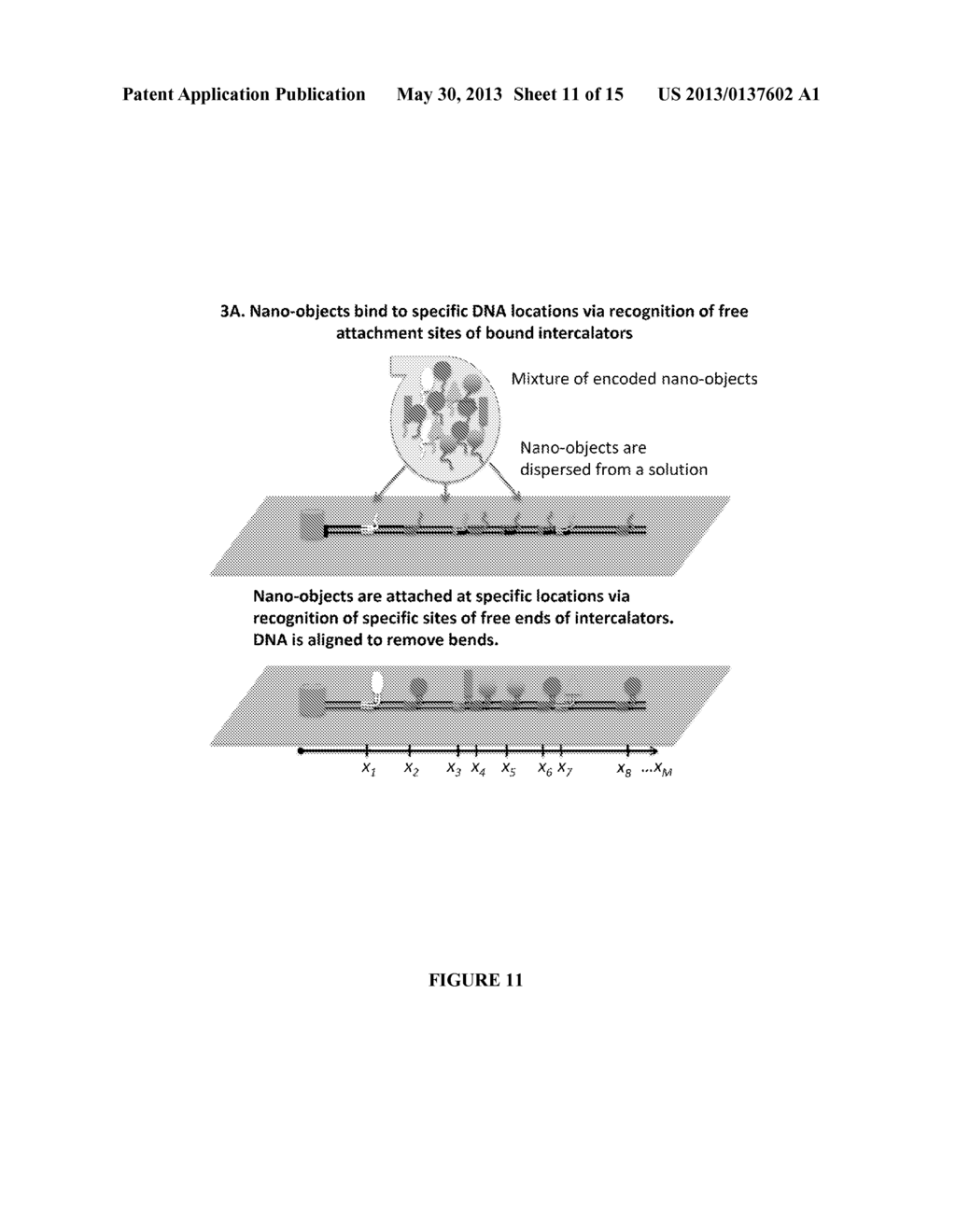 ARBITRARY ASSEMBLY OF NANO-OBJECTS INTO DESIGNED 1D AND 2D ARRAYS - diagram, schematic, and image 12