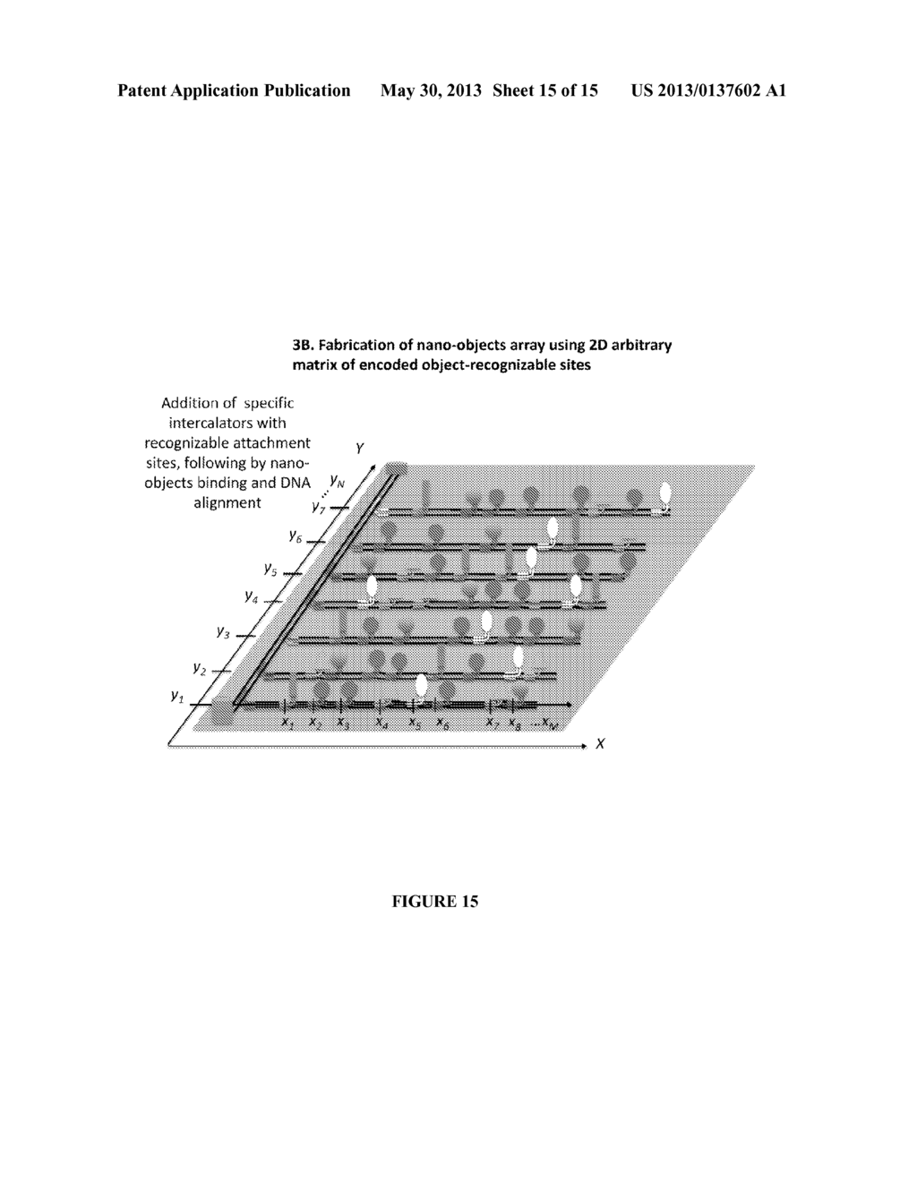 ARBITRARY ASSEMBLY OF NANO-OBJECTS INTO DESIGNED 1D AND 2D ARRAYS - diagram, schematic, and image 16