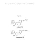 THERAPEUTIC COMPOUNDS diagram and image