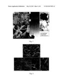 MODIFIED CARBON NANOTUBES AND THEIR COMPATIBILITY diagram and image