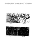 MODIFIED CARBON NANOTUBES AND THEIR COMPATIBILITY diagram and image