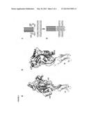 METHODS OF CRYSTALLISING PERFORIN diagram and image