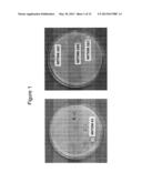 PRODUCTION OF TRIACYLGLYCERIDES FROM RENEWABLE BIOMASS USING OLEAGINOUS     MICROORGANISMS diagram and image