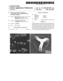 Double emulsion core-shell nano-structure and preparation methods thereof diagram and image