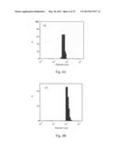 Double emulsion core-shell nano-structure and preparation methods thereof diagram and image