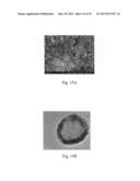 Double emulsion core-shell nano-structure and preparation methods thereof diagram and image