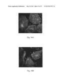 Double emulsion core-shell nano-structure and preparation methods thereof diagram and image